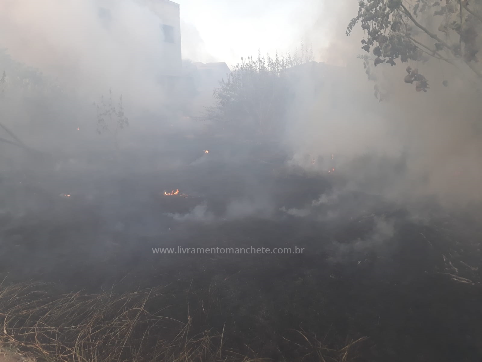 Incêndio destrói matagal em terreno particular no centro de Livramento